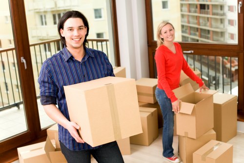 Risk assessment and planning for a Swiss Cottage removal